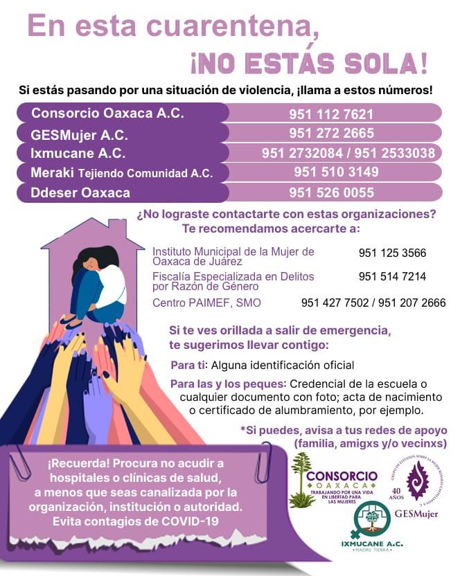 Organizaciones feministas en Oaxaca llaman a #AislamientoSinViolencia