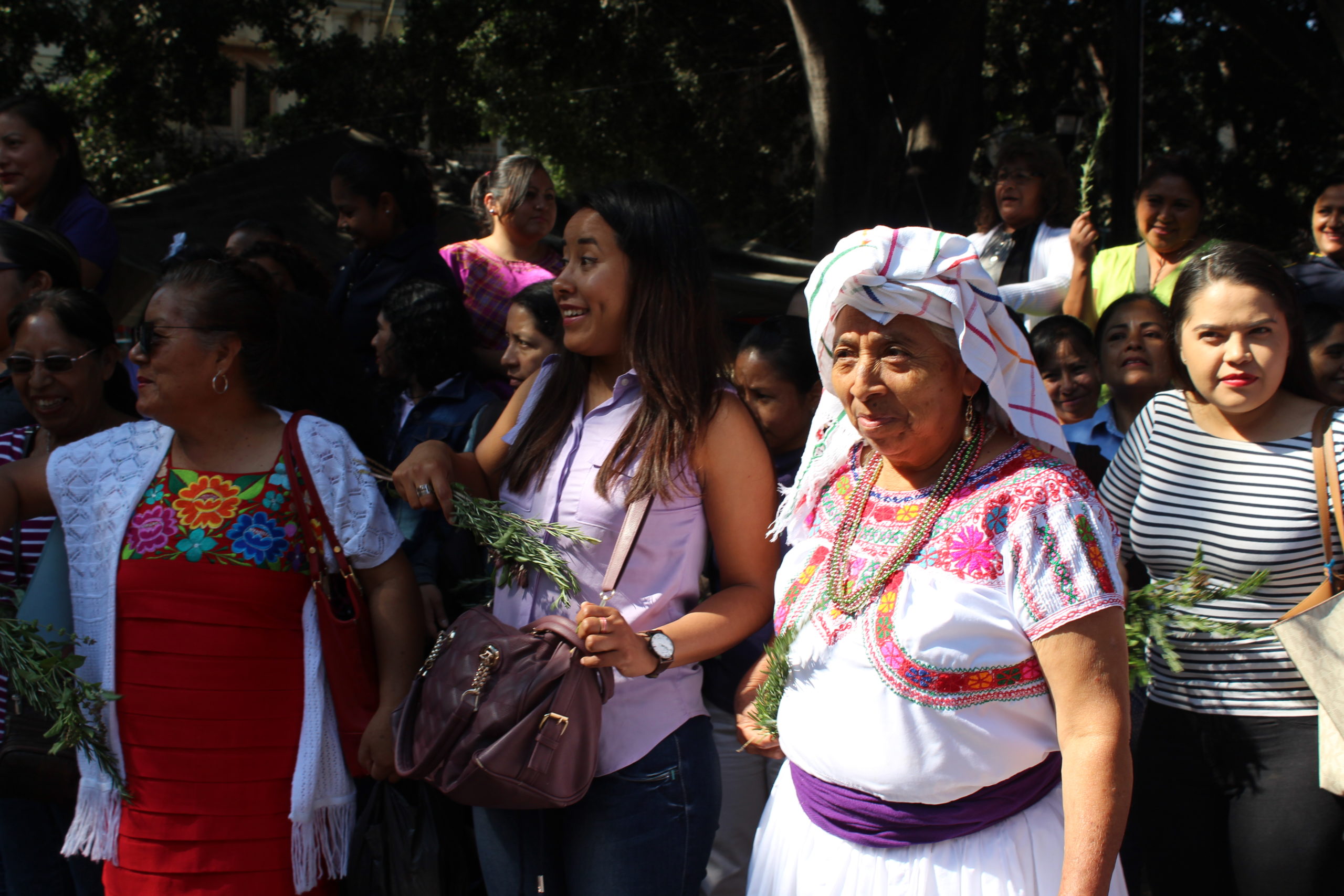 Violencia contra mujeres adultas mayores en Oaxaca
