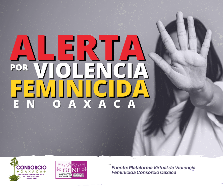 Pronunciamiento ¡Alerta, semáforo rojo! Feminicidio en Oaxaca
