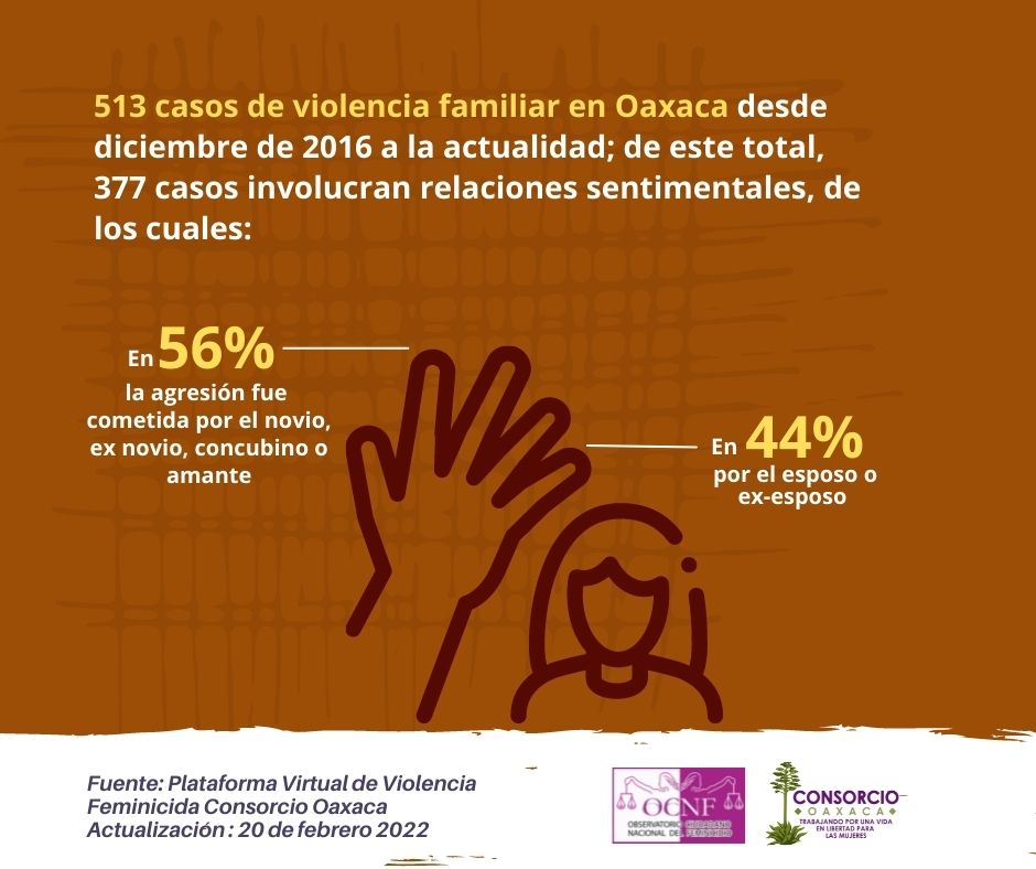 Pareja o ex pareja sentimental, agresores en 377 violencias contra mujeres  – Consorcio Para el Diálogo Parlamentario y la Equidad Oaxaca