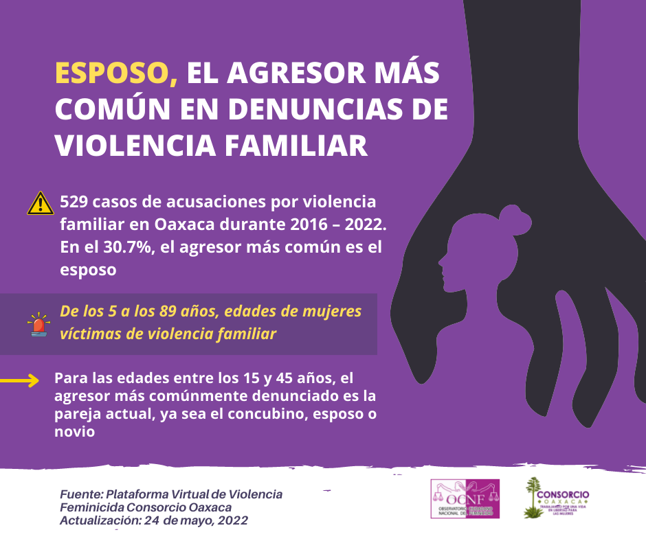 <strong>Esposo, el agresor más común en denuncias de violencia familiar</strong>