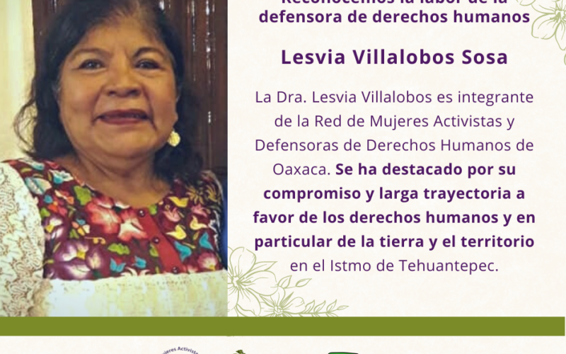 <strong>Reconocen la labor de la defensora de la tierra y el territorio istmeña Lesvia Villalobos</strong>