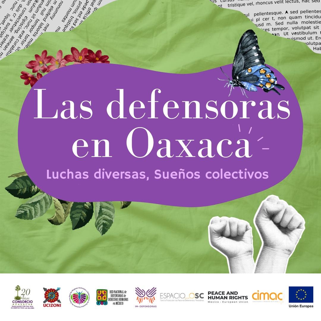Arranca campaña internacional: “Las Defensoras en Oaxaca – Luchas Diversas, Sueños Colectivos”