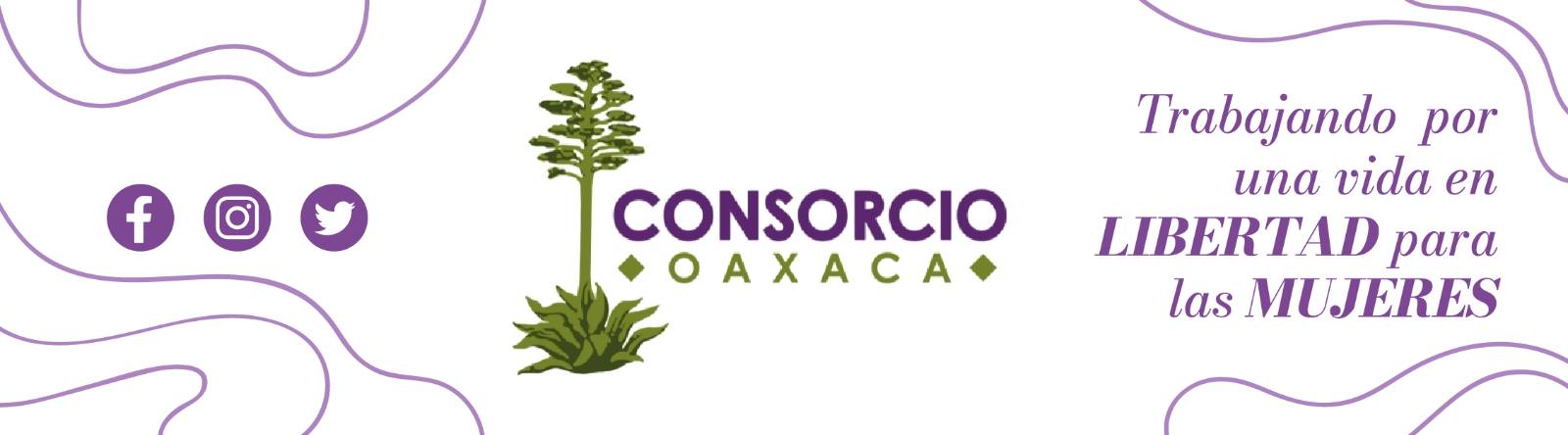 Consorcio Para el Diálogo Parlamentario y la Equidad Oaxaca