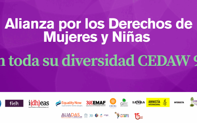 Alianza por los Derechos de Mujeres y Niñas en toda su diversidad CEDAW 91